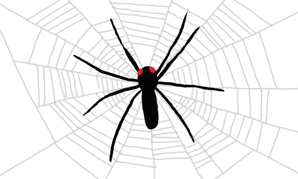 蜘蛛