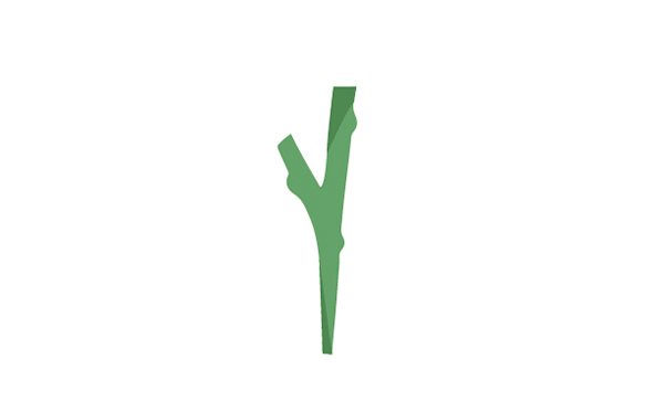 梗