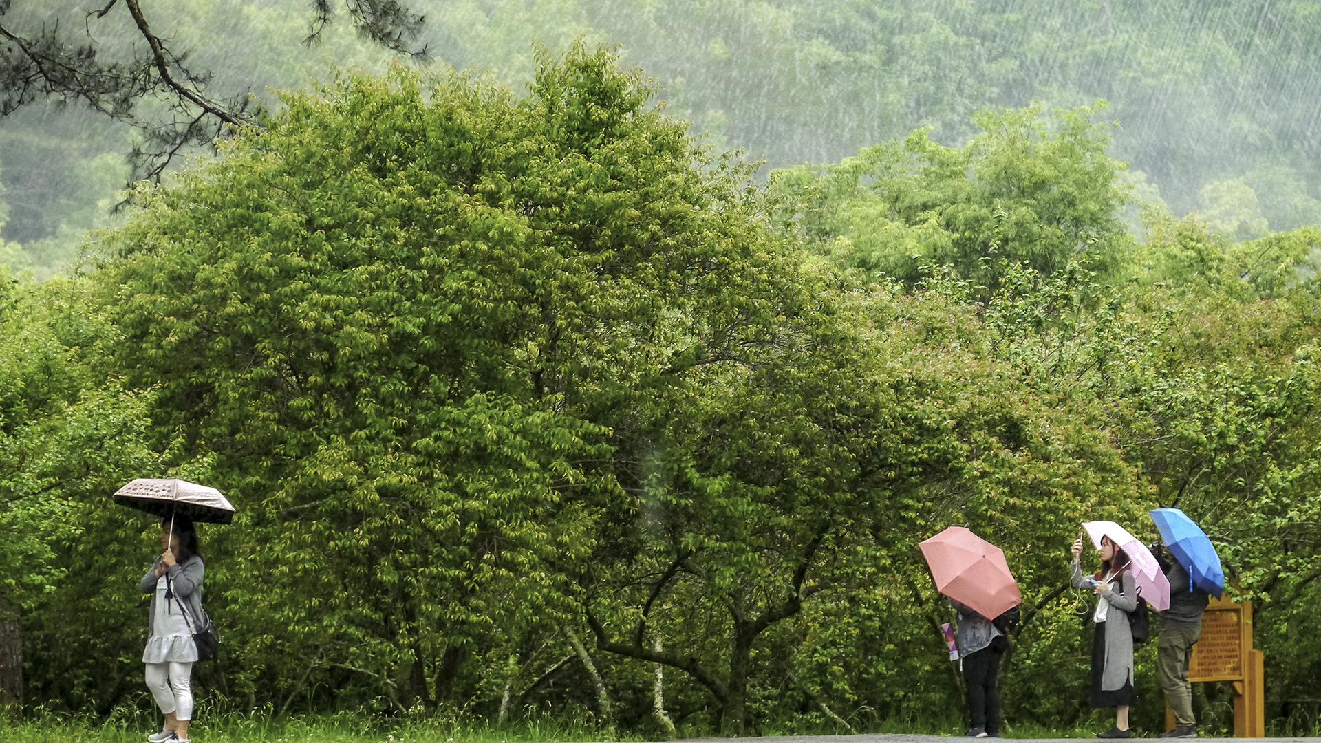 下雨